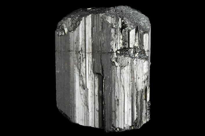 Black Tourmaline (Schorl) Crystal - Madagascar #174107